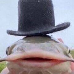 n0rmalwalk_